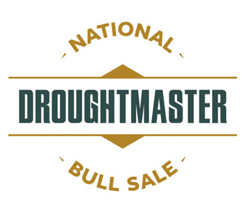 National Droughtmaster Bull Sale